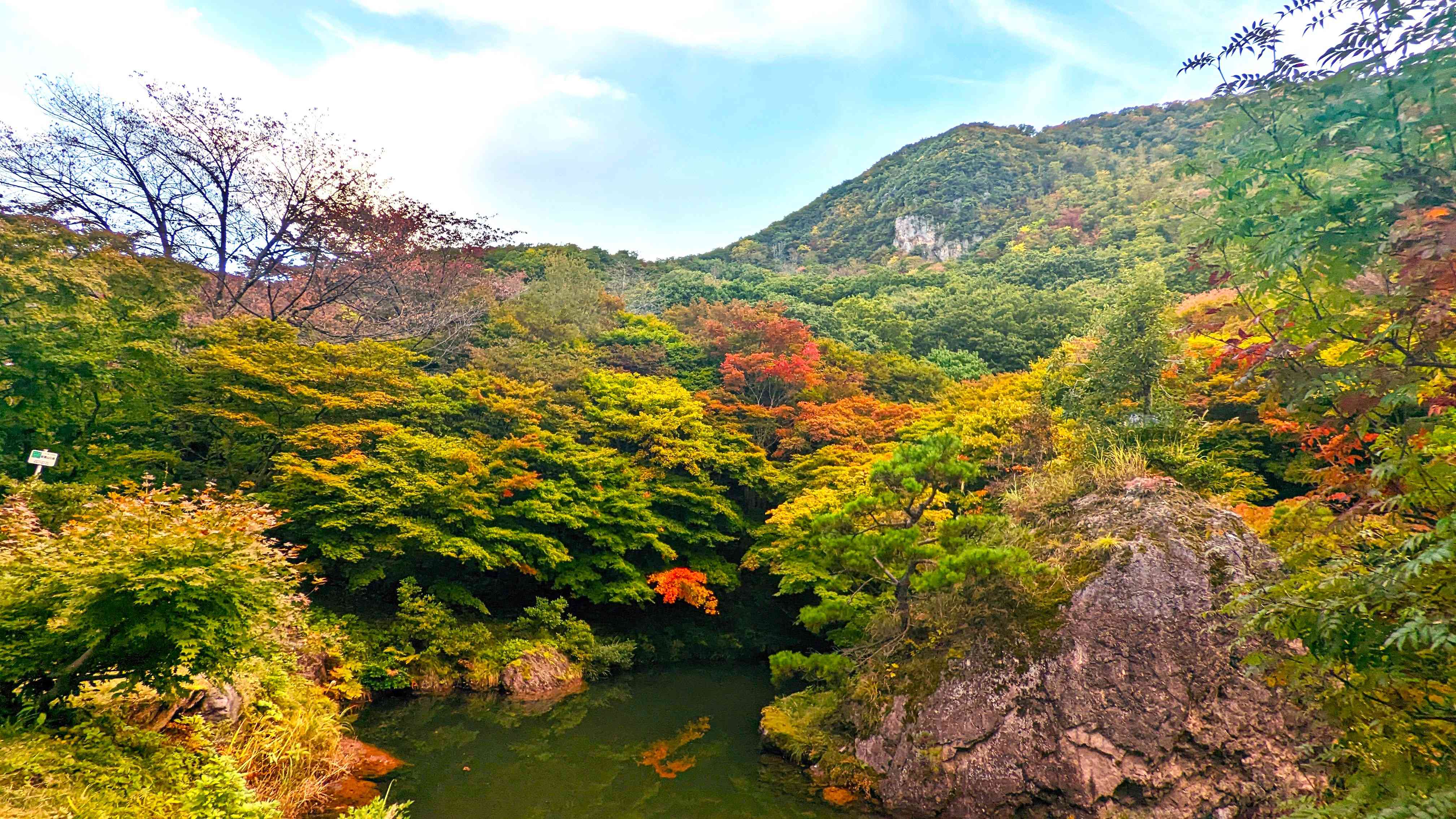 🍁 최상산 공원 단풍산(사이조산 코엔 모미지야마) 이미지 7